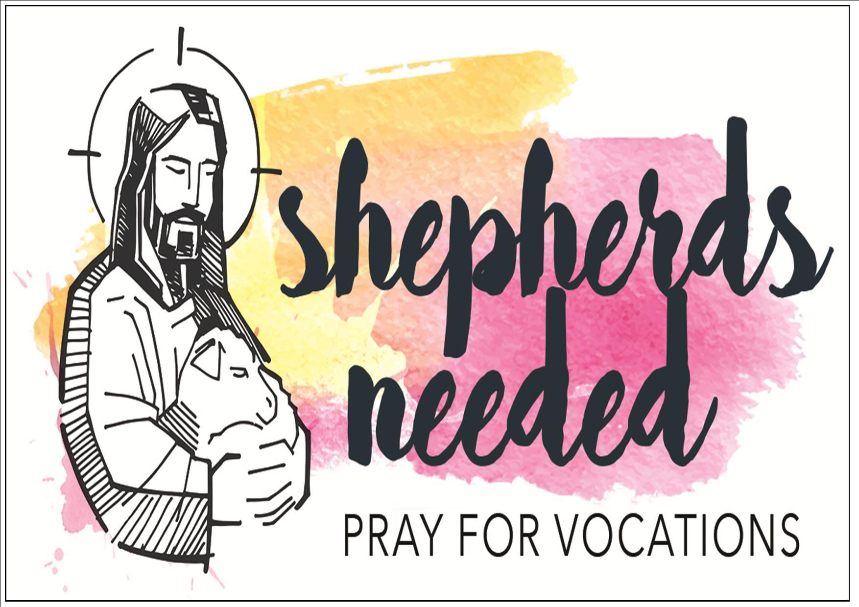 shepherds-needed-pray-for-vocations