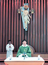 SY (54)