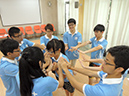 SY (215)
