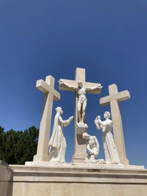 IMG 0092