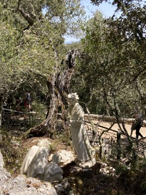 IMG 0099